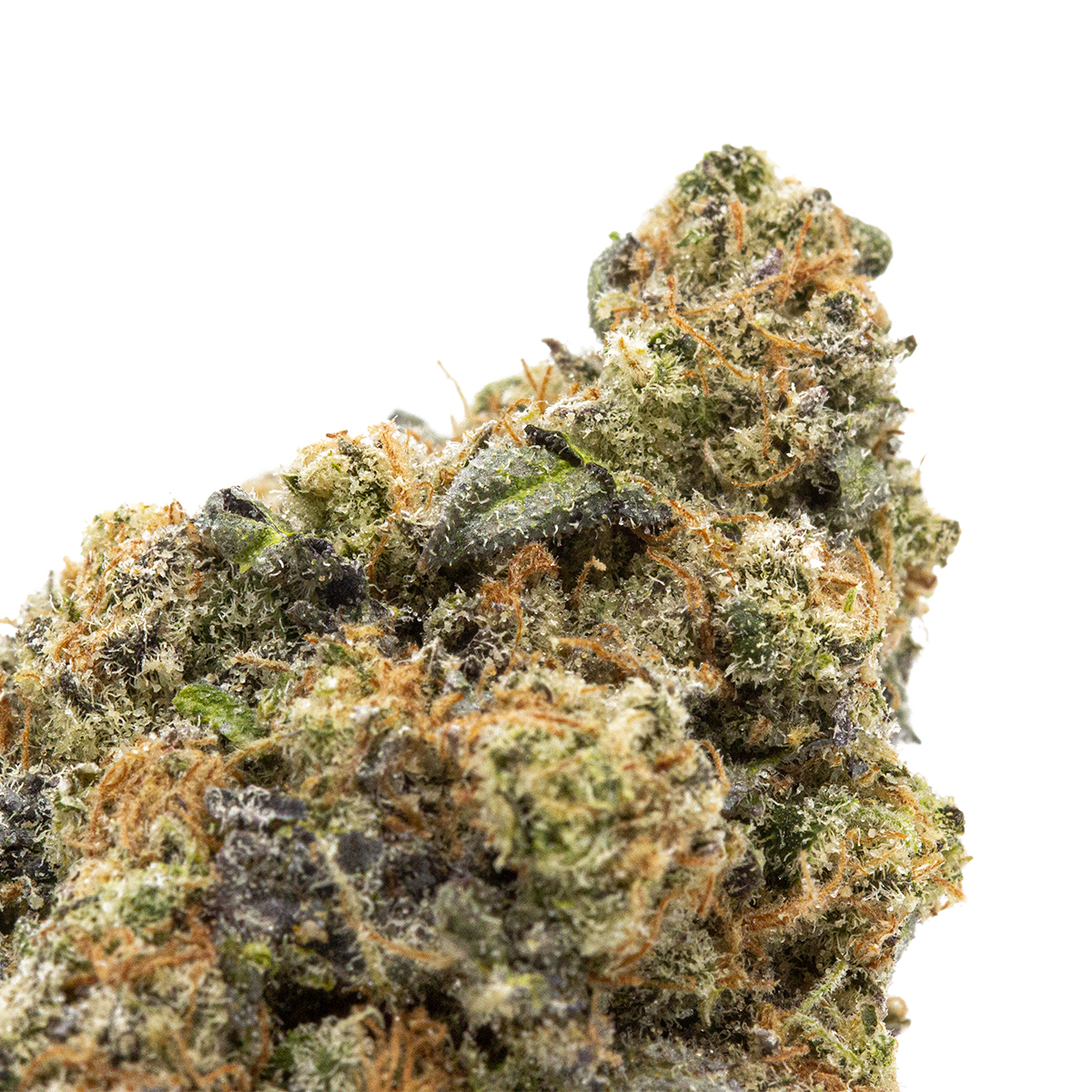 modified-banana-08-24-21-closeup-1