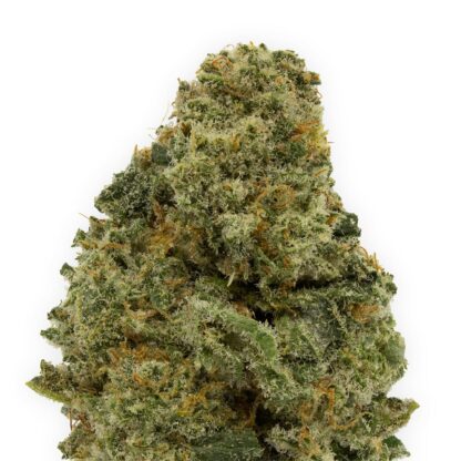 apex-closeup-1